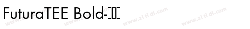 FuturaTEE Bold字体转换